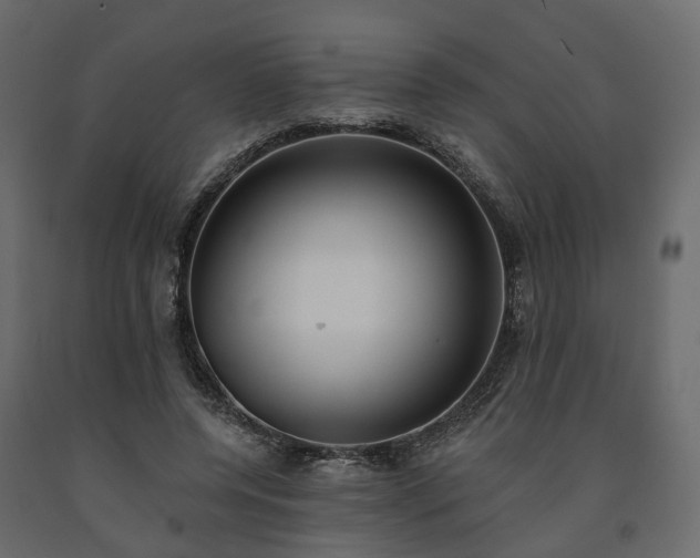 X0000091560544200708241818