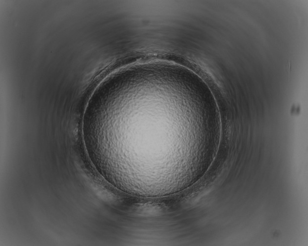 X0000091560545200708241818