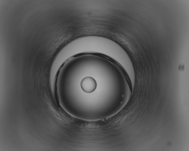 X0000091560546200708241818