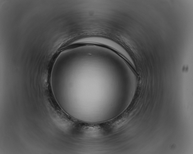 X0000091560548200708241818