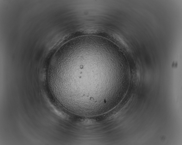 X0000091560549200708241818