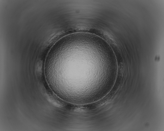 X0000091560550200708241818