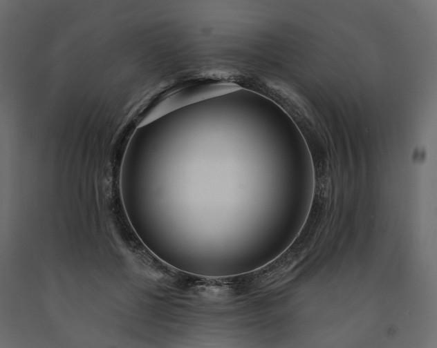 X0000091560552200708241818