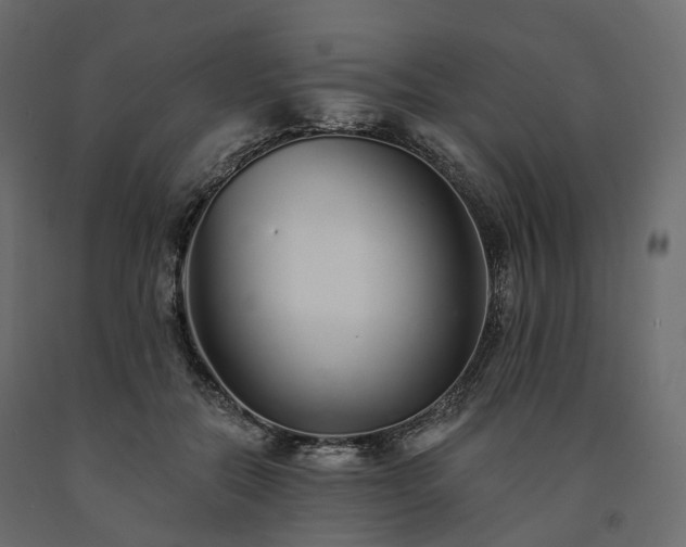 X0000091560554200708241818