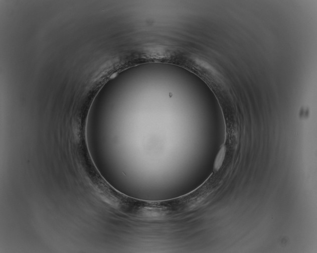 X0000091560556200708241818