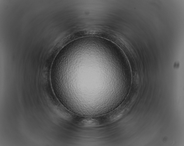 X0000091560557200708241818