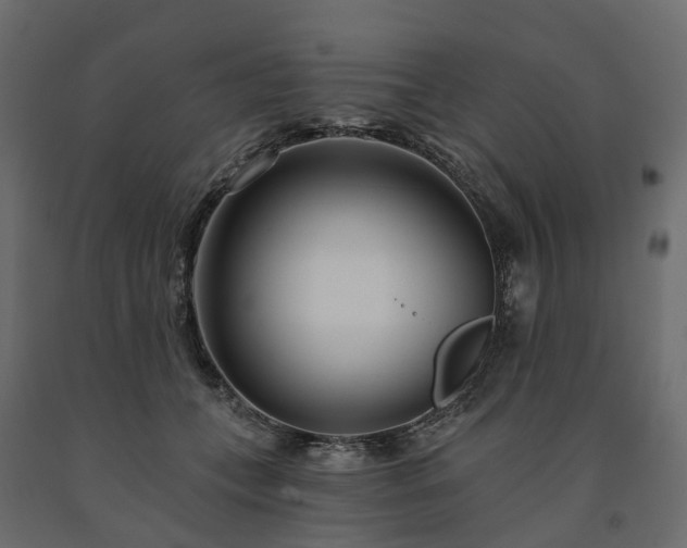 X0000091560559200708241818