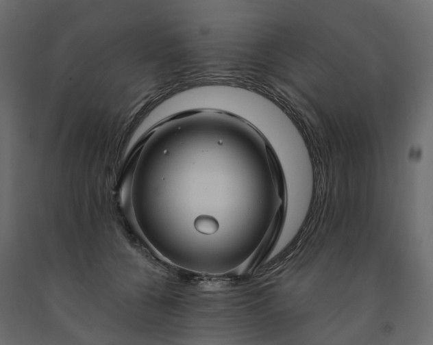 X0000091560560200708241818