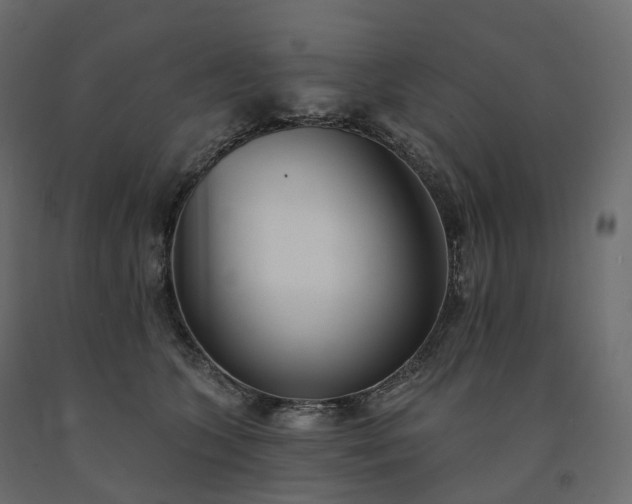 X0000091560563200708241818