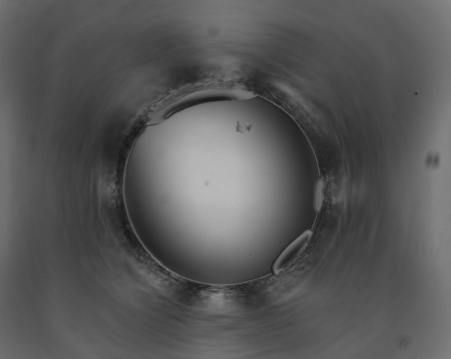 X0000091560564200708241818