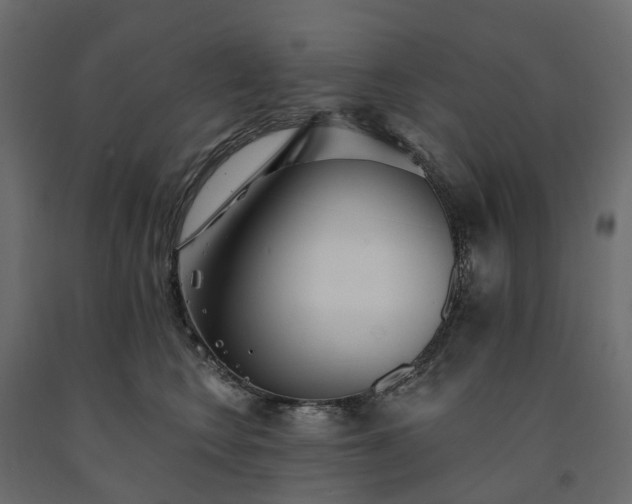 X0000091560566200708241818