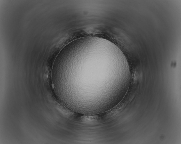 X0000091560567200708241818