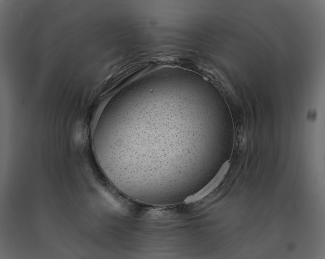 X0000091560568200708241818