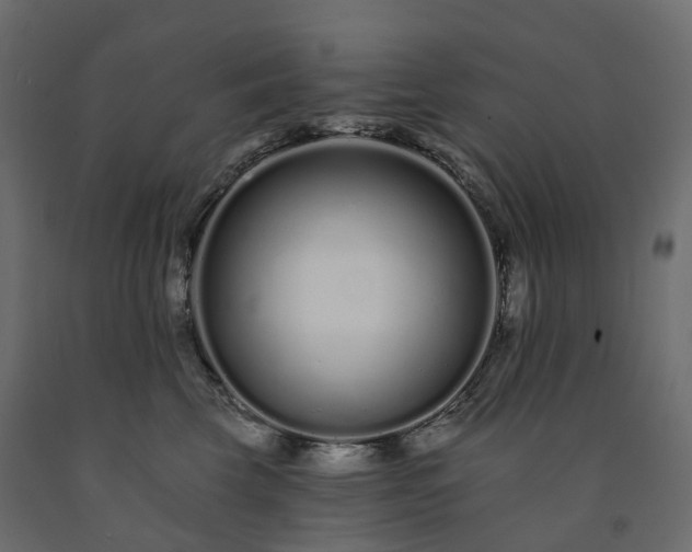 X0000091560569200708241818