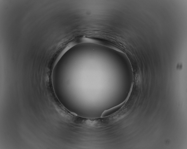 X0000091560570200708241818