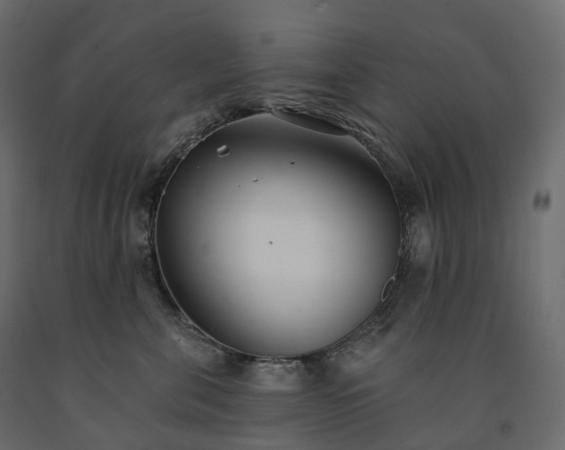 X0000091560571200708241818