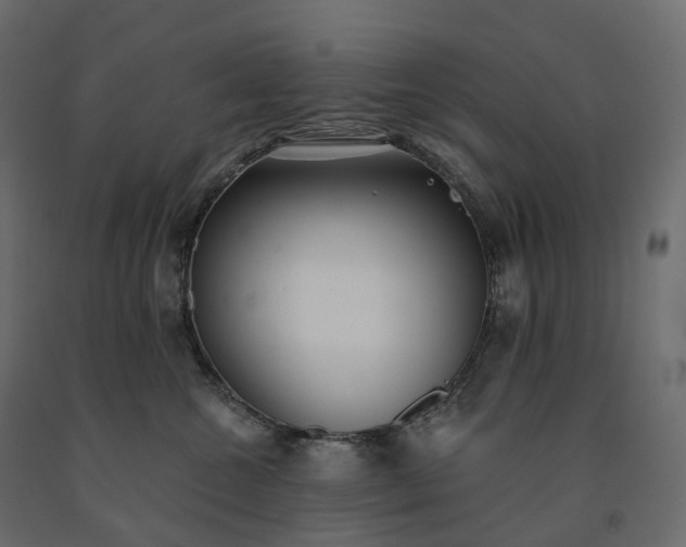 X0000091560572200708241818