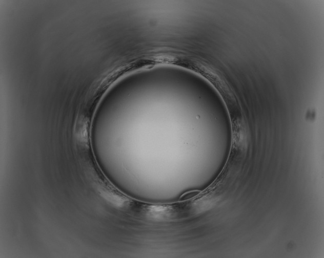 X0000091560573200708241818