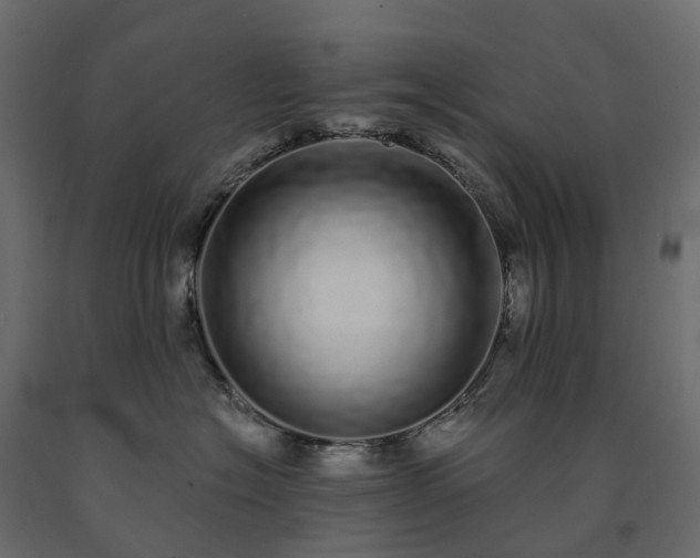 X0000091560574200708241818