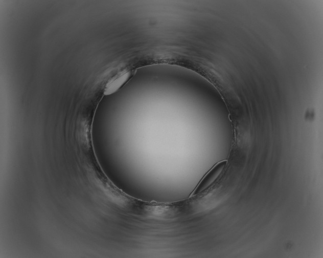 X0000091560575200708241818