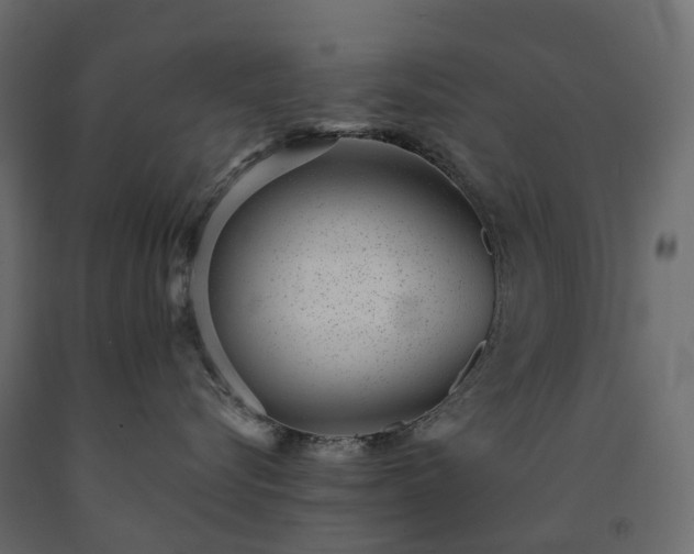 X0000091560576200708241818