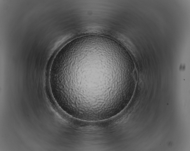 X0000091560578200708241818