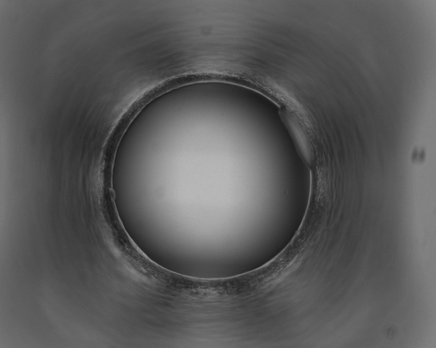 X0000091560580200708241818