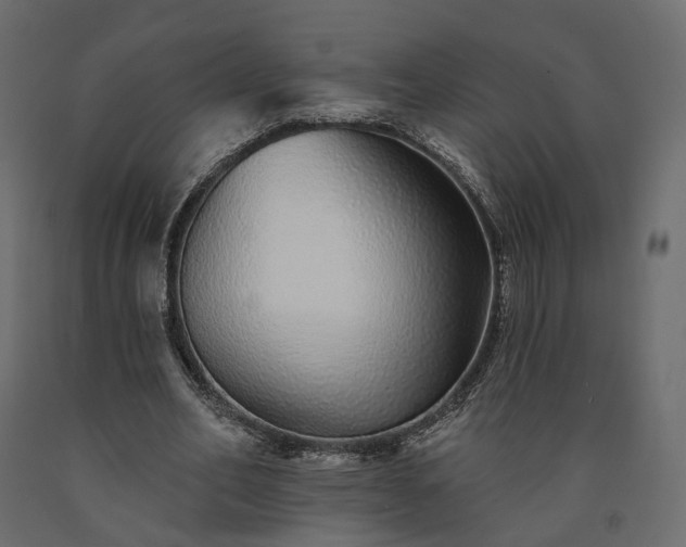 X0000091560582200708241818