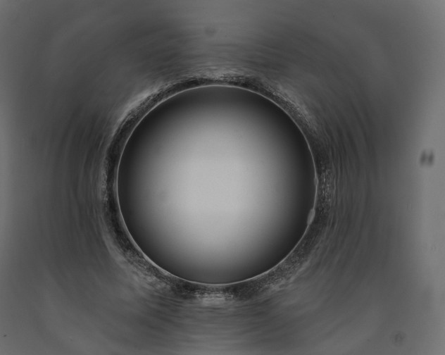 X0000091560587200708241818