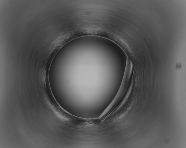 X0000091560589200708241818