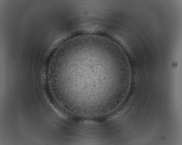 X0000091560590200708241818