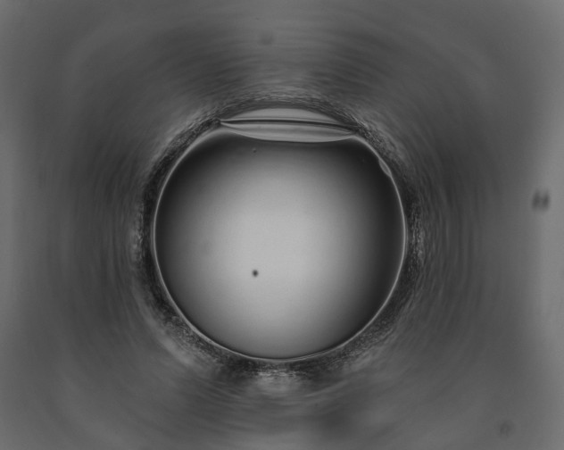 X0000091560591200708241818