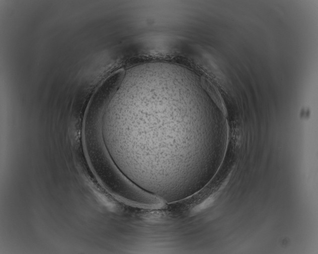 X0000091560593200708241817