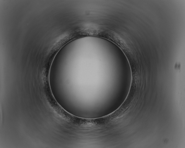 X0000091560594200708241817