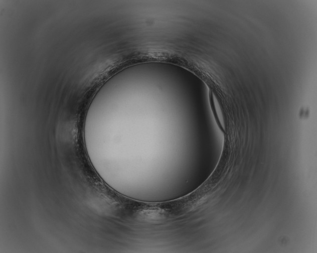 X0000091560595200708241817