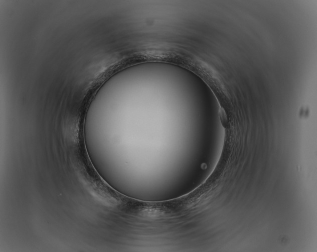 X0000091560596200708241817