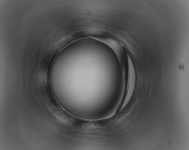 X0000091560597200708241817