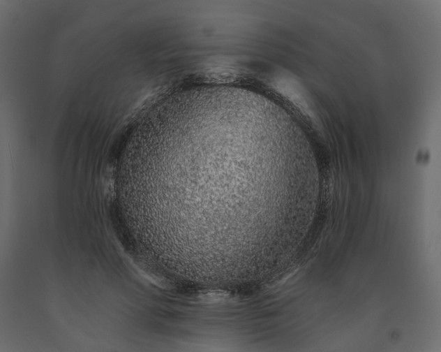 X0000091560598200708241817