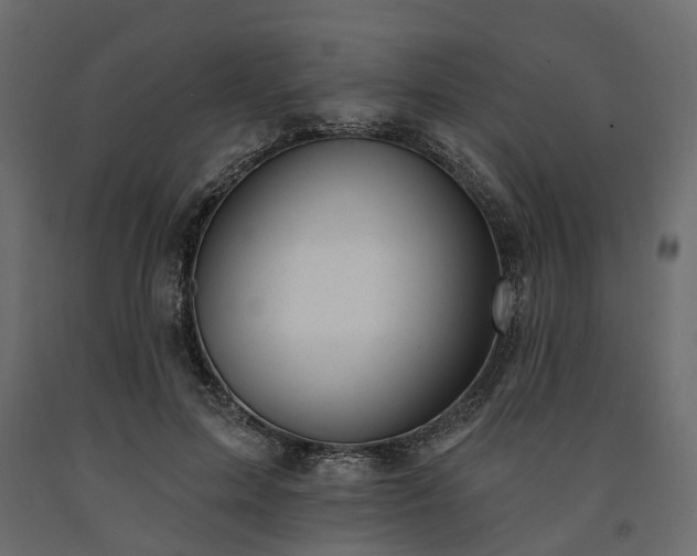 X0000091560599200708241817