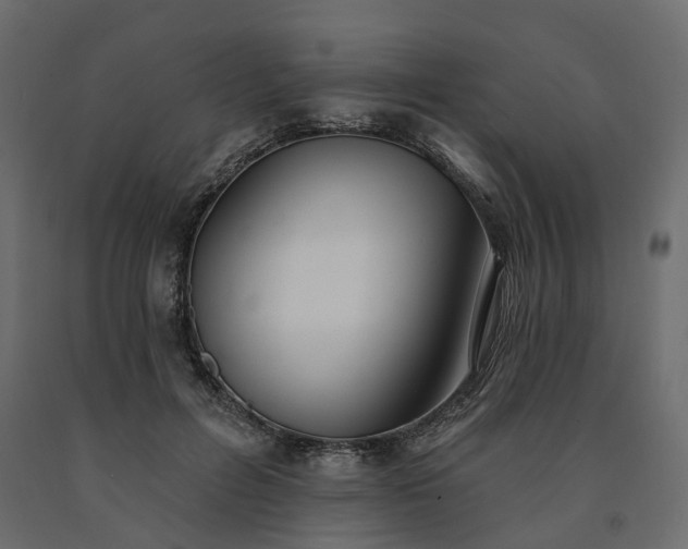 X0000091560600200708241817