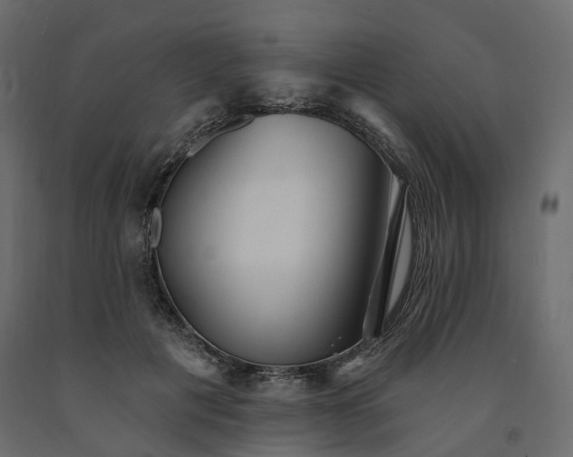 X0000091560601200708241817