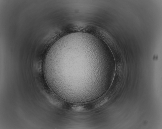 X0000091560602200708241817