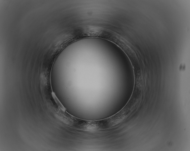 X0000091560604200708241817