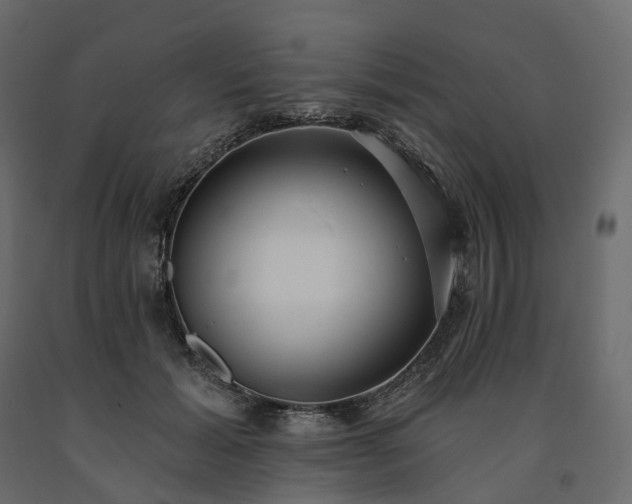 X0000091560605200708241817