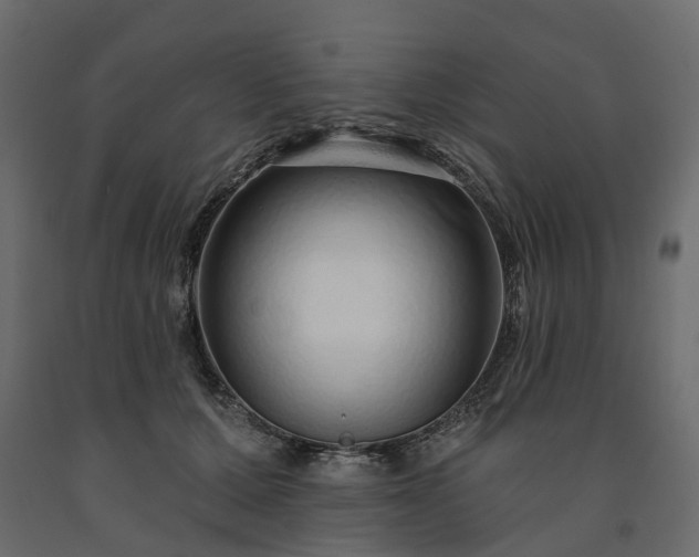 X0000091560607200708241817