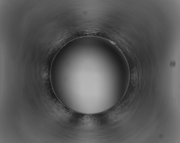 X0000091560608200708241817