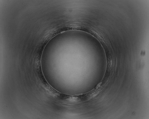 X0000091560609200708241817