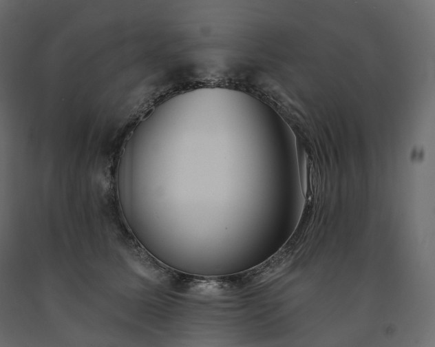 X0000091560611200708241817