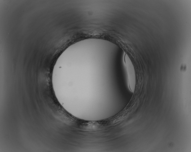 X0000091560612200708241817