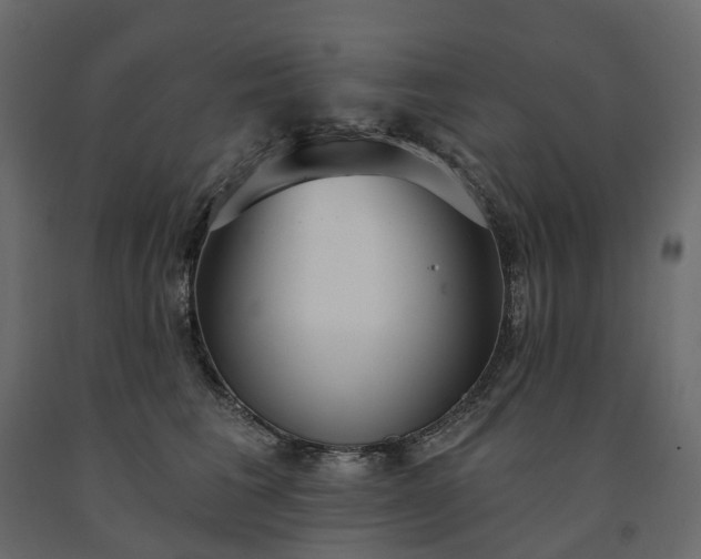 X0000091560613200708241817